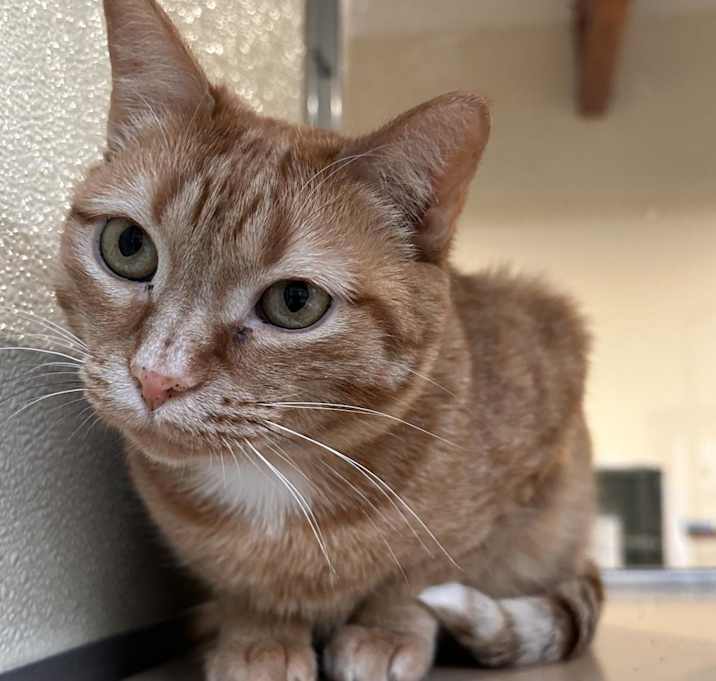 Photo of Simone