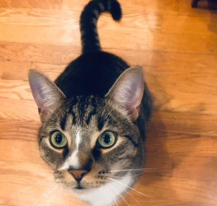 Photo of Oliver