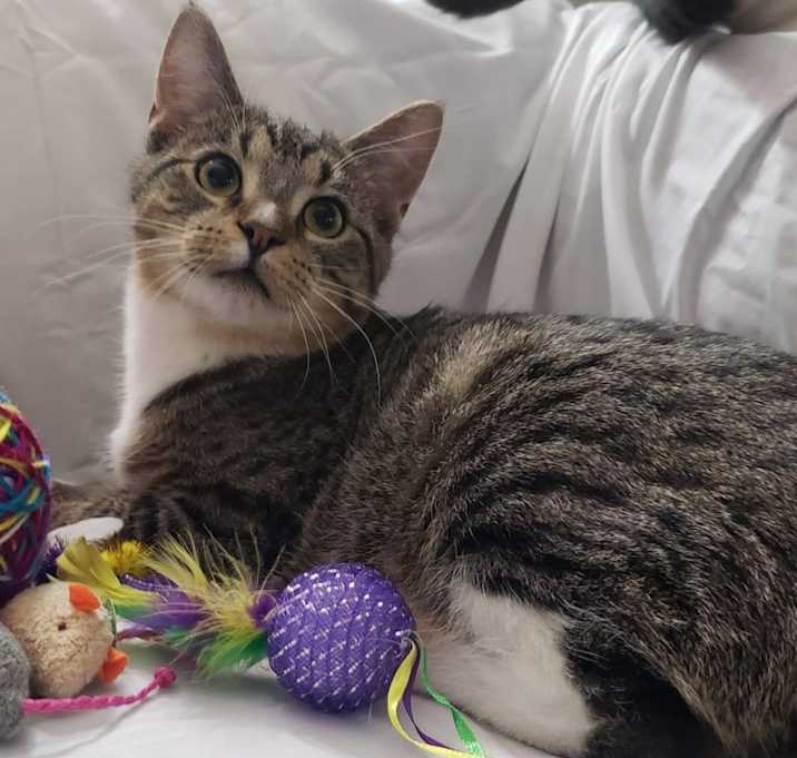 Photo of Wakko