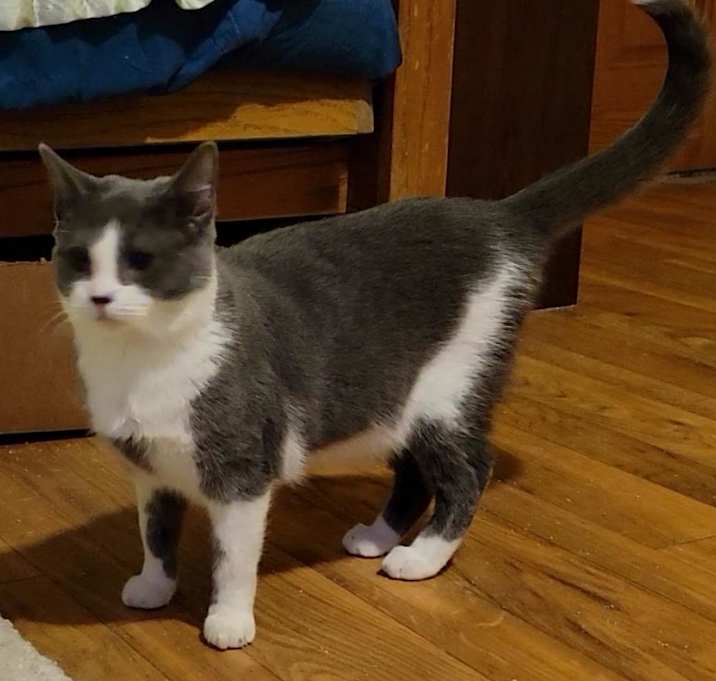 Photo of Kiki