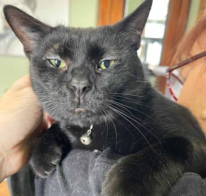 Photo of Hilda