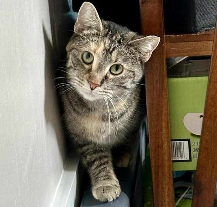 Photo of Zoey