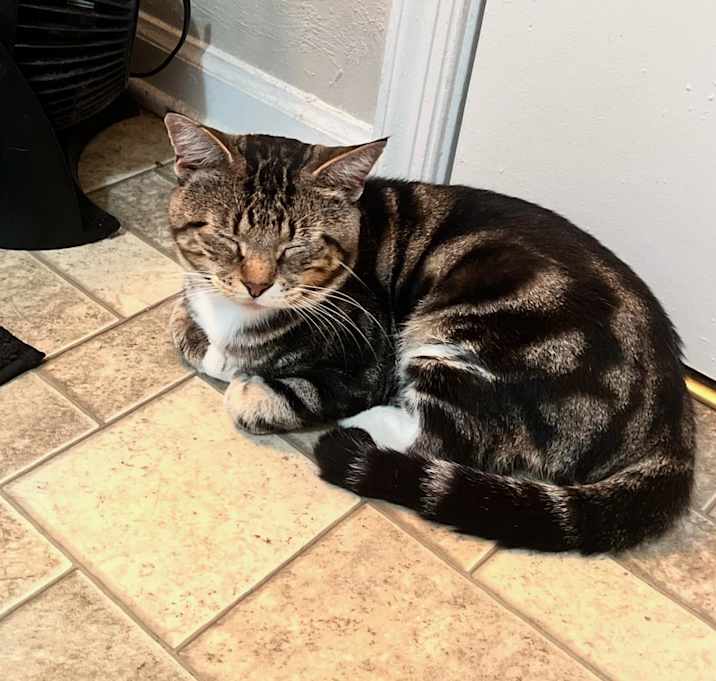 Photo of Monte