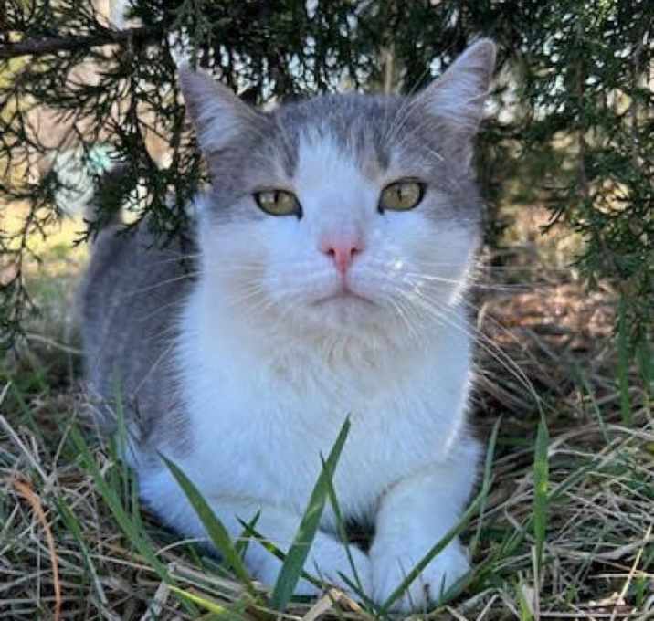 Photo of Kevin