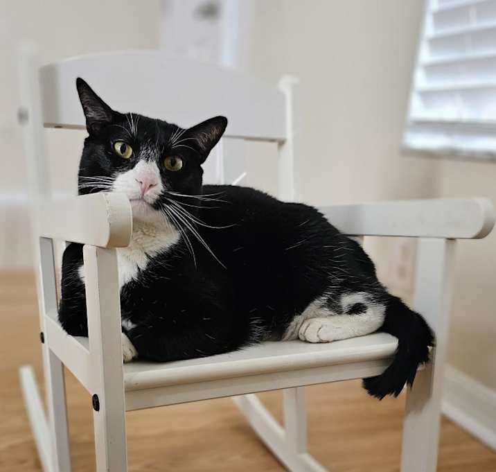 Photo of Aramis