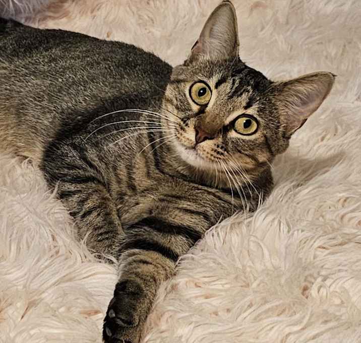 Photo of Pearl 