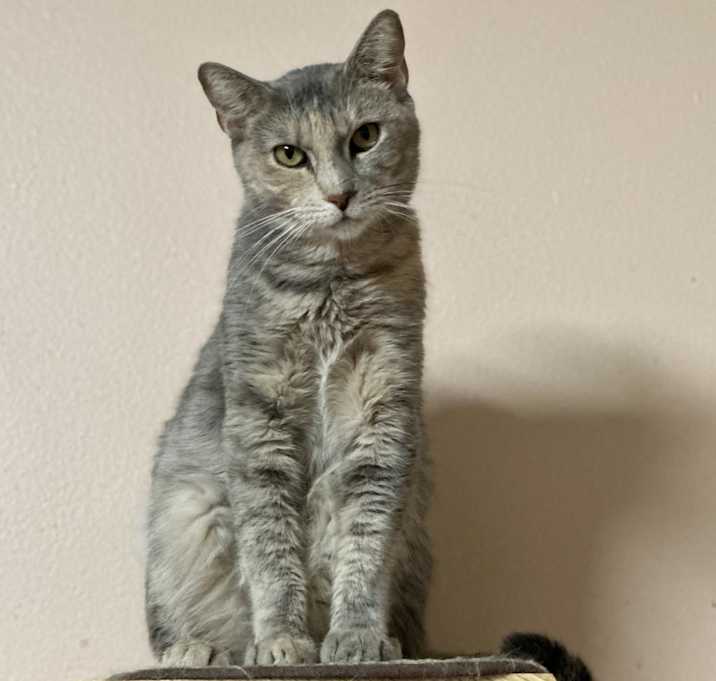 Photo of Carli