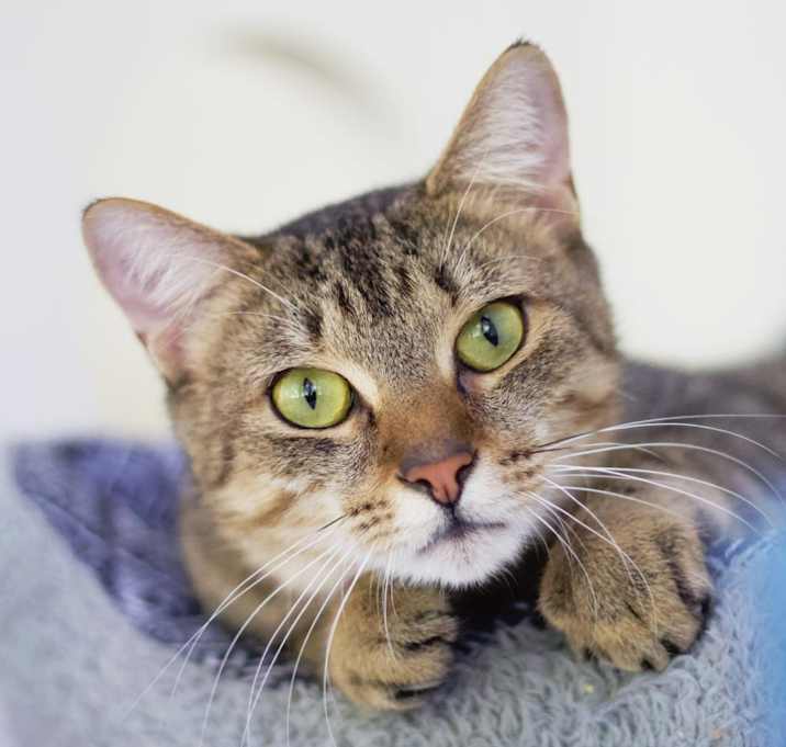 Photo of Wylie