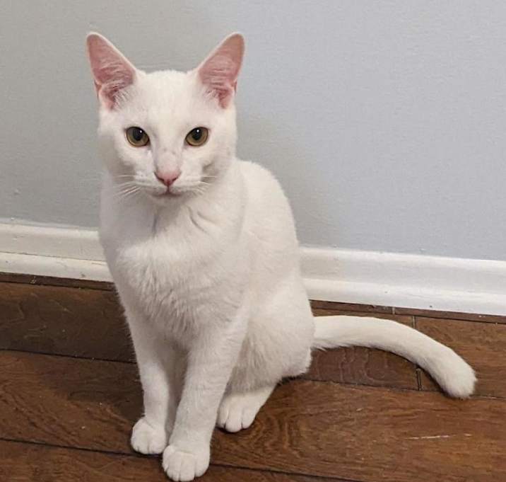 Photo of Squiggle