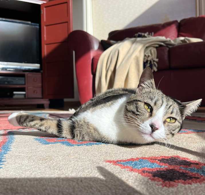 Photo of Pepper