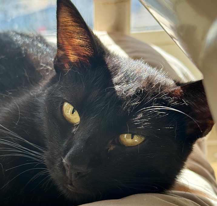 Photo of Rudy