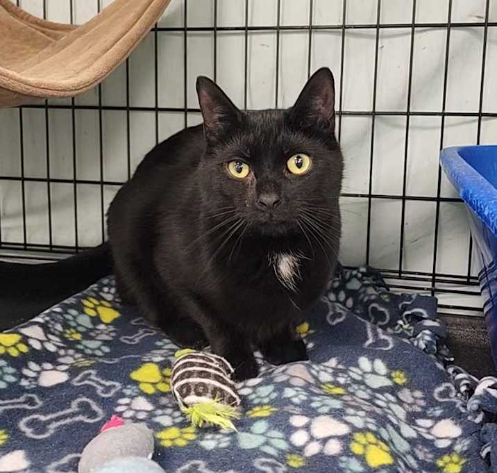 Photo of Finley
