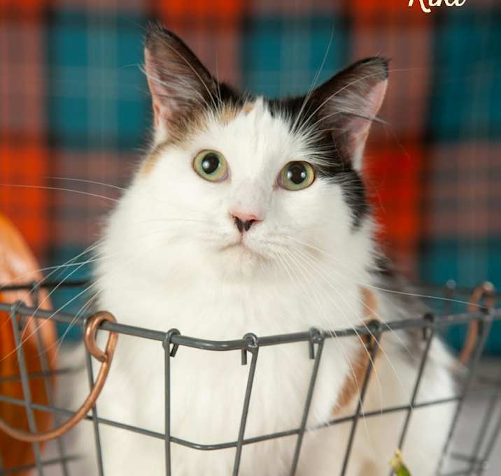Photo of Kiki
