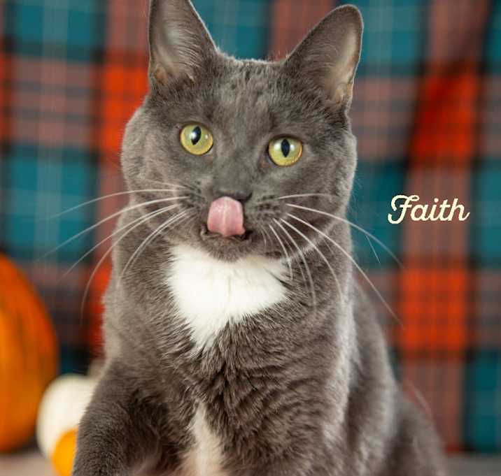 Photo of Faith