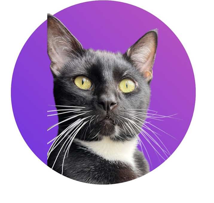 Photo of Whiskers
