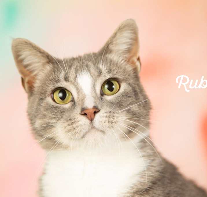 Photo of Ruby