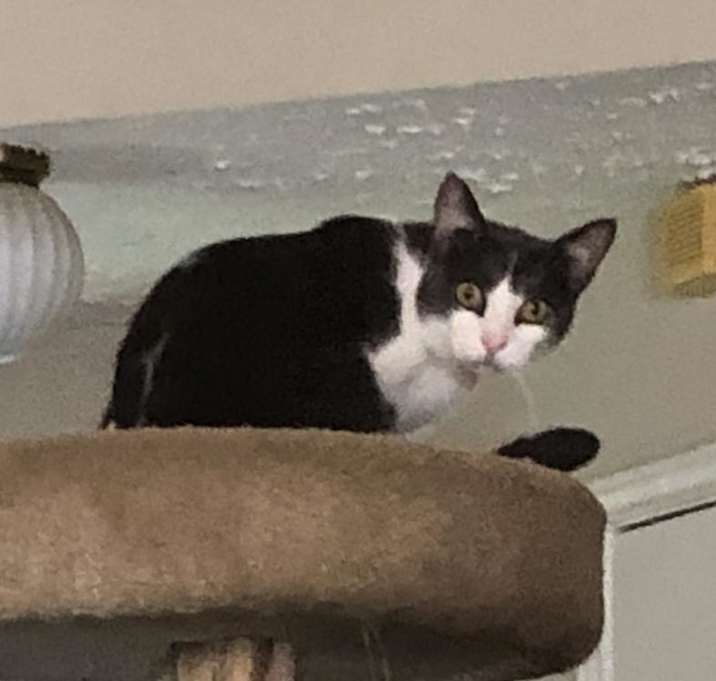 Photo of Jasper