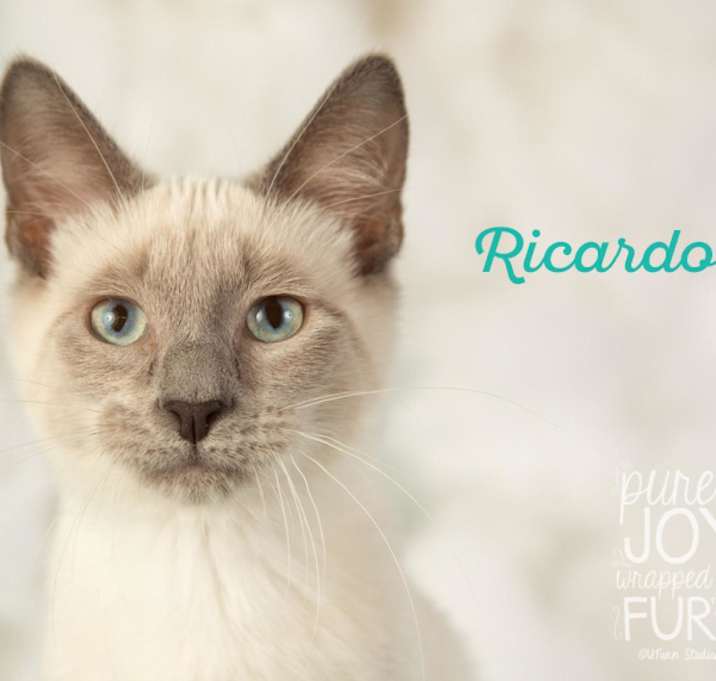 Photo of Ricardo