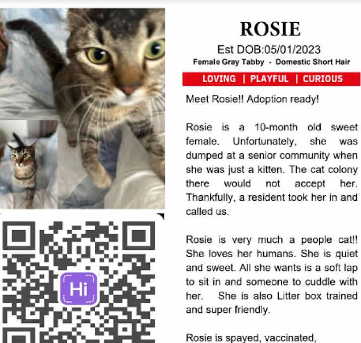 Photo of Rosie