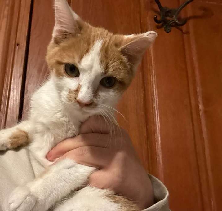 Photo of Jerry