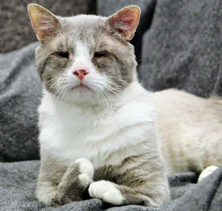 Photo of Molman