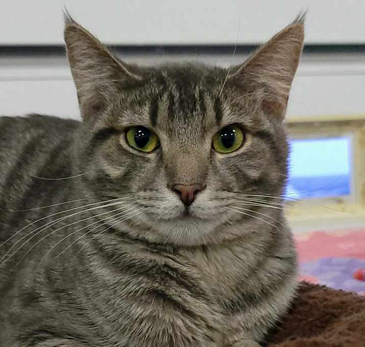 Photo of Twilight