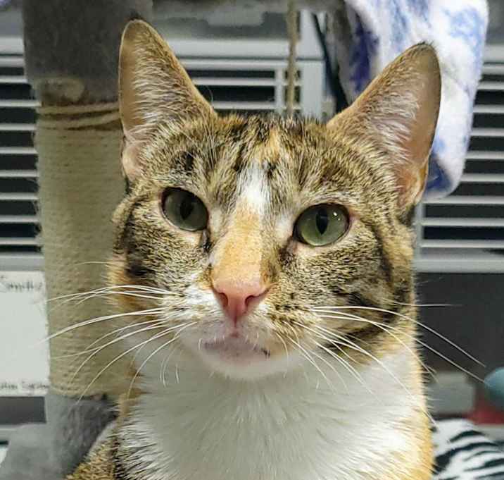Photo of Ursula