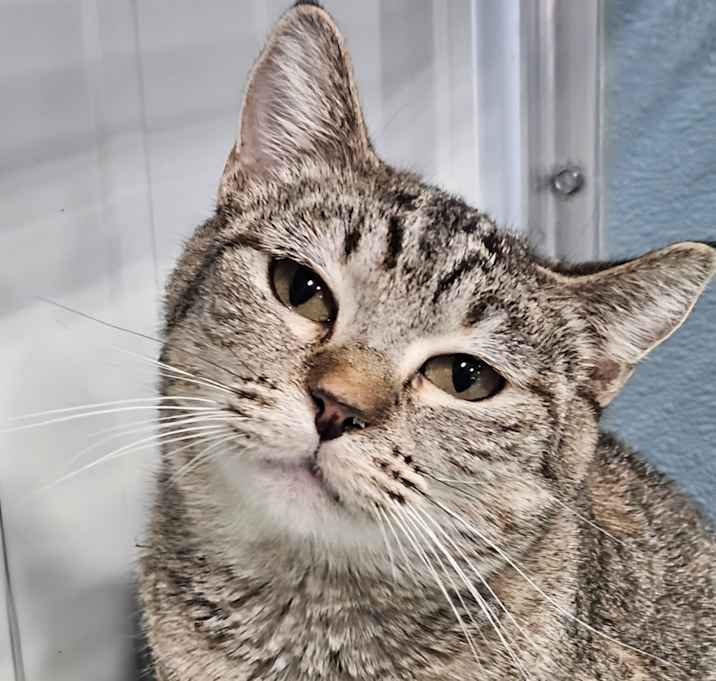 Photo of Jingle