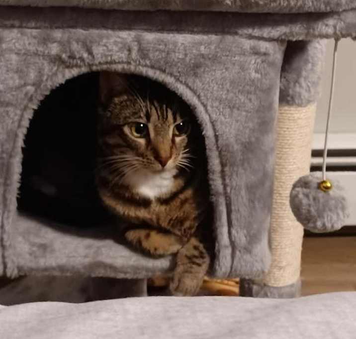 Photo of Mysti