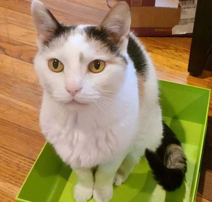 Photo of Maisie