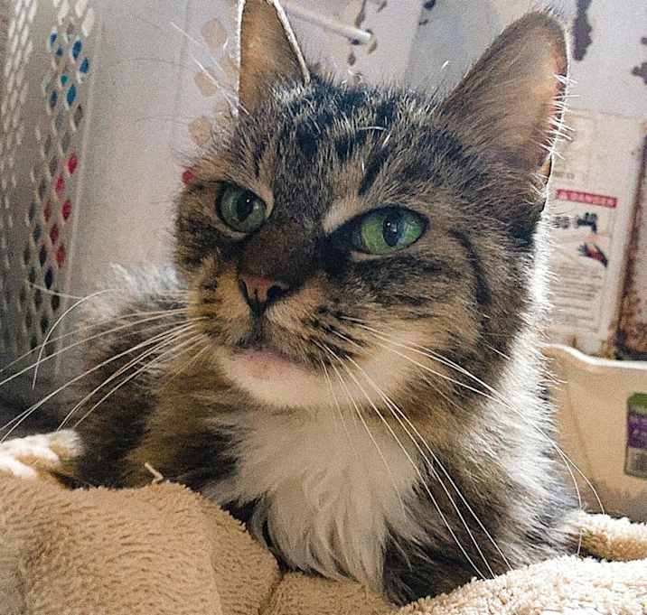 Photo of Leia