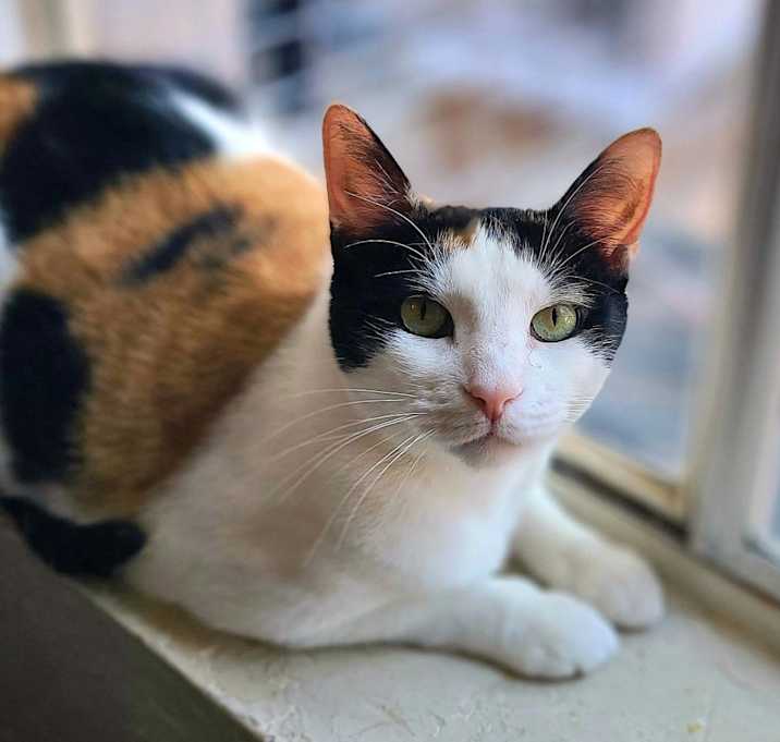 Photo of Charlee