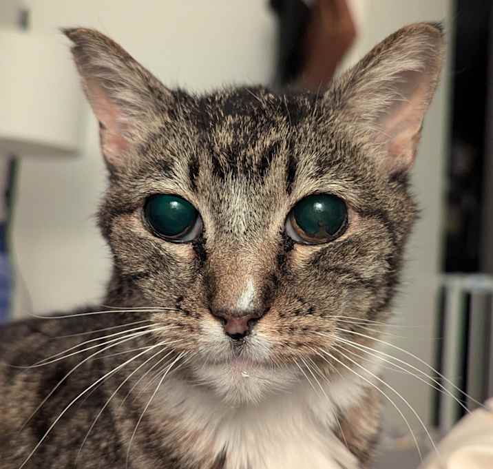 Photo of Sylvie