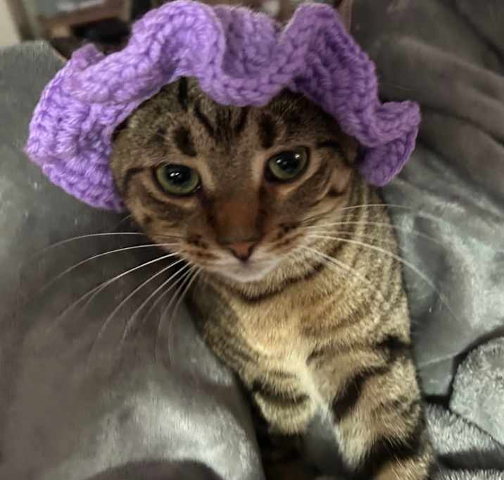 Photo of Dopey