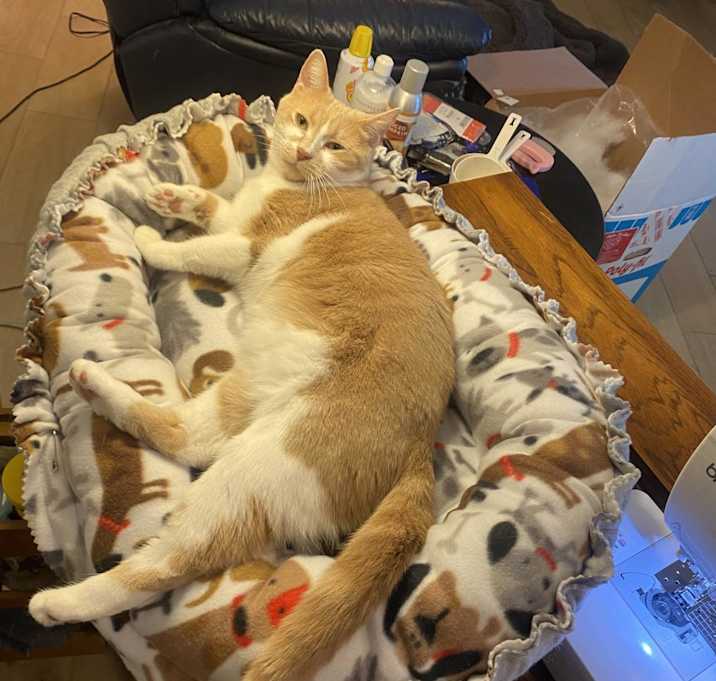 Photo of Helpful Hannah