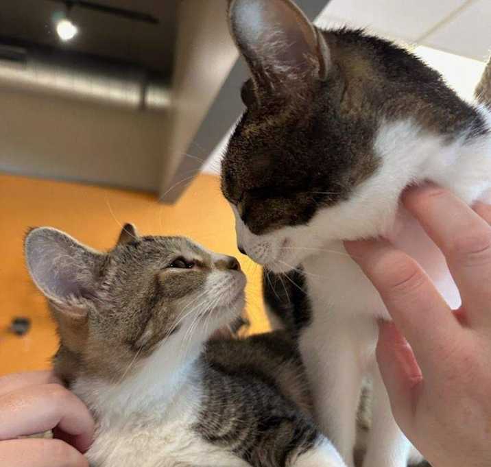 Photo of Caroline Channing - bonded with Turbo