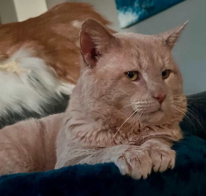 Photo of Joe Pesci aka Mr Peaches
