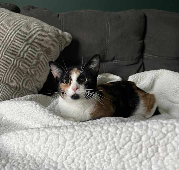 Photo of Lisa