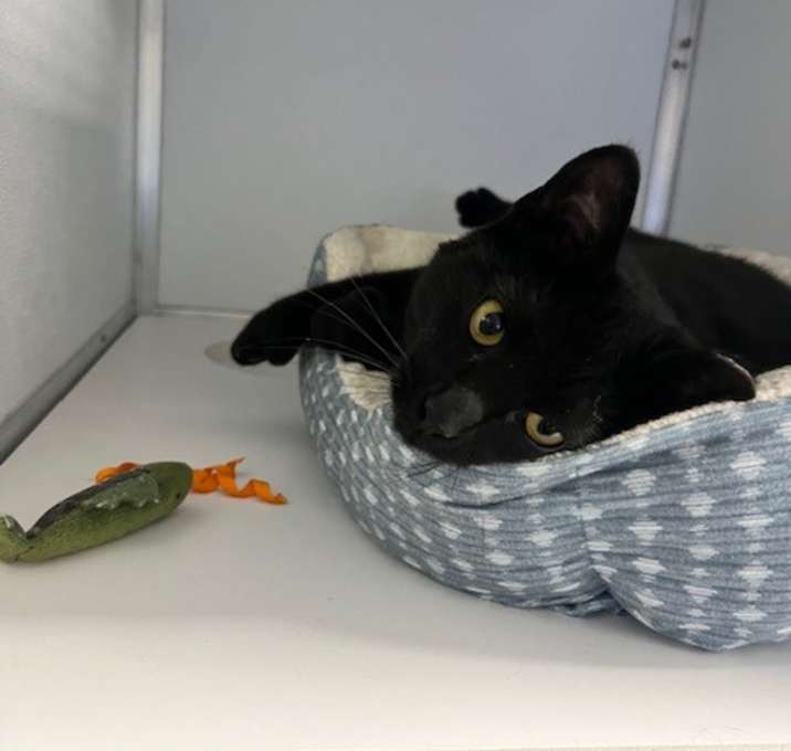 Photo of Winifred