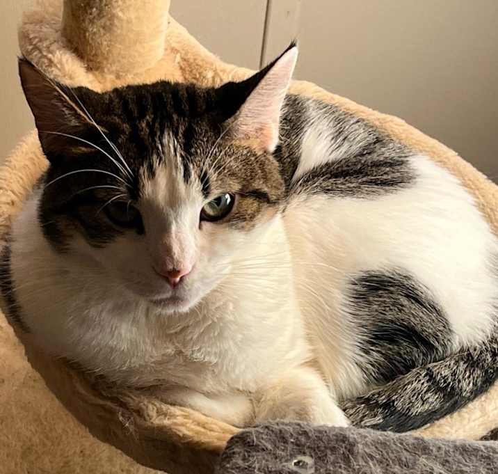Photo of Tia