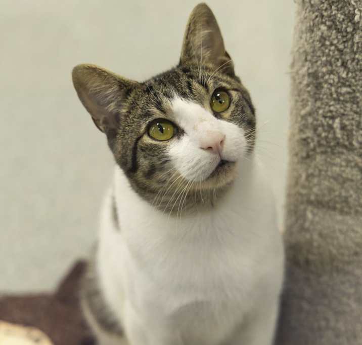 Photo of Rico