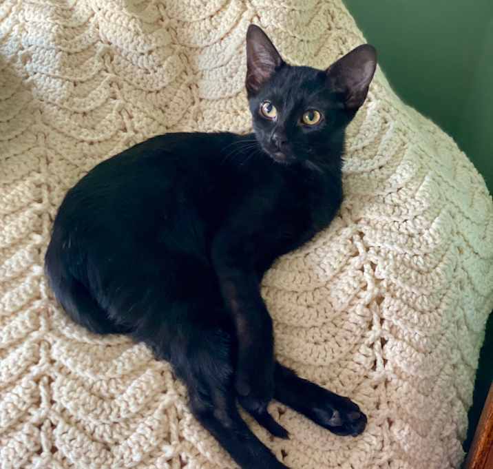 Photo of Imogen