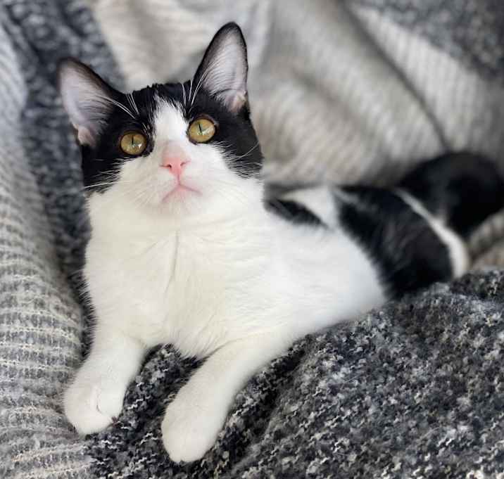 Photo of Sushi