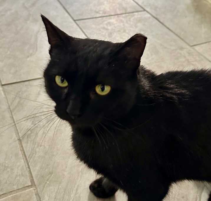 Photo of Holly