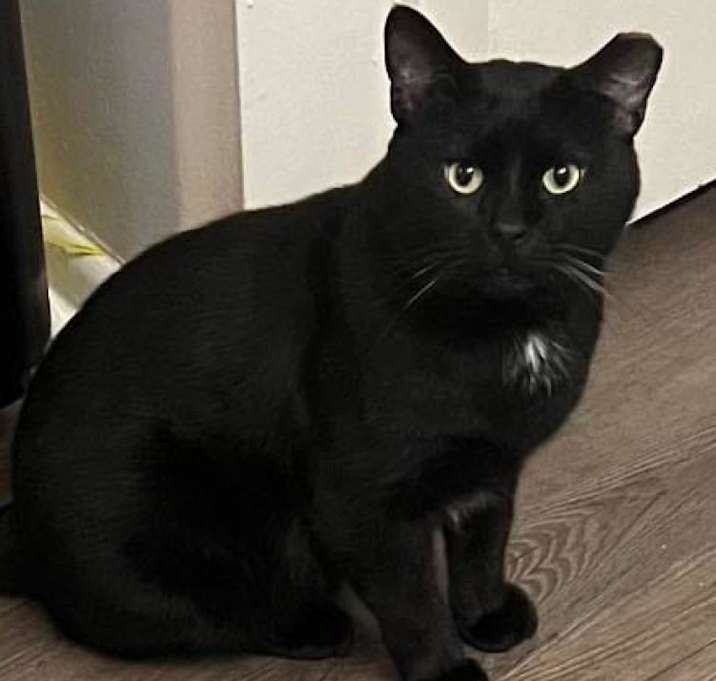 Photo of Casper-C