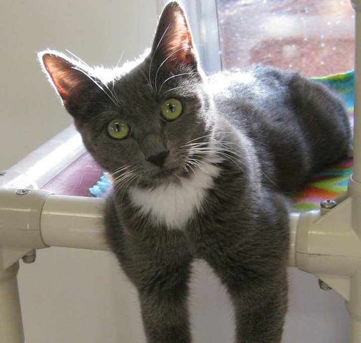 Photo of Ettie