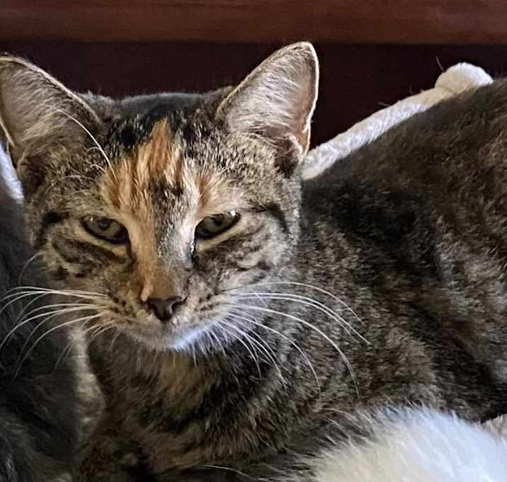 Photo of Izzy