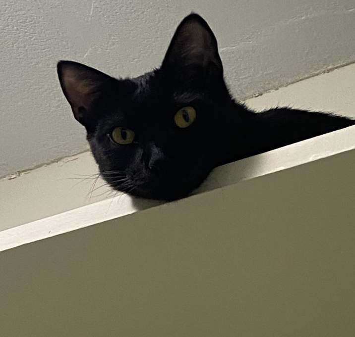 Photo of Doby
