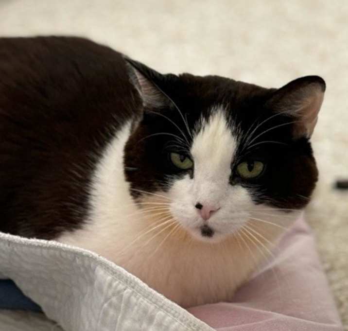Photo of Lucky