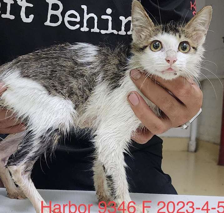 Photo of Harbor 9346